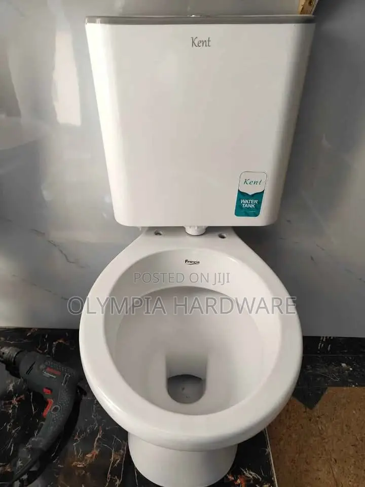 Toilet Seat + Toilet Water Cistern