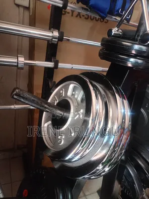 Chrome 5kg Weight Plates
