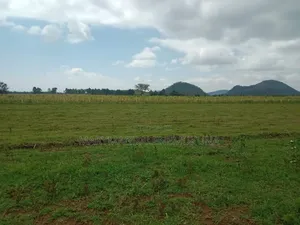 Naivasha Scenic Views Plots!