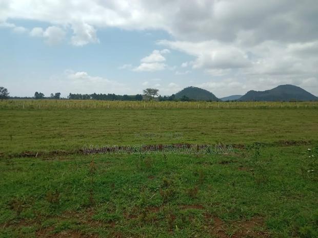 Naivasha Scenic Views Plots! - main view