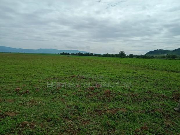 Naivasha Scenic Views Plots! - thumbnail 3