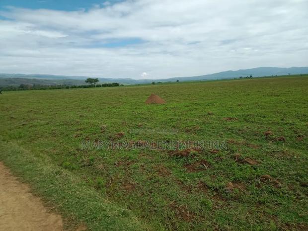 Naivasha Scenic Views Plots! - thumbnail 4