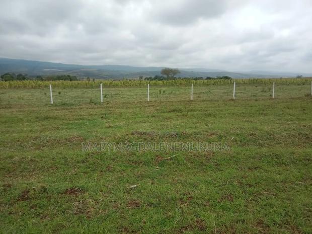 Naivasha Scenic Views Plots! - thumbnail 6