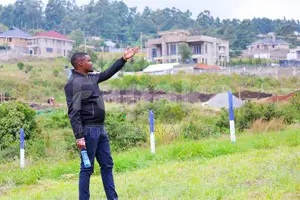 Ngong-Kibiko Plots^Mw