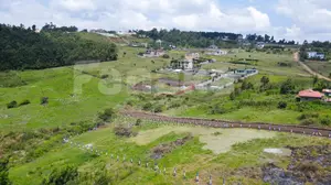 Ngong-Kibiko Plots^Mw