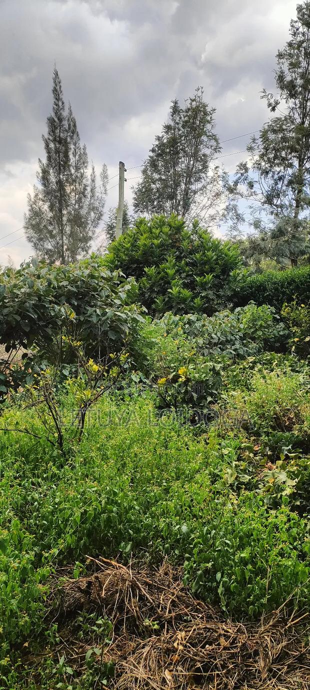 3⁄4 Acre Prime Land Ngong-Kibiko - thumbnail 5