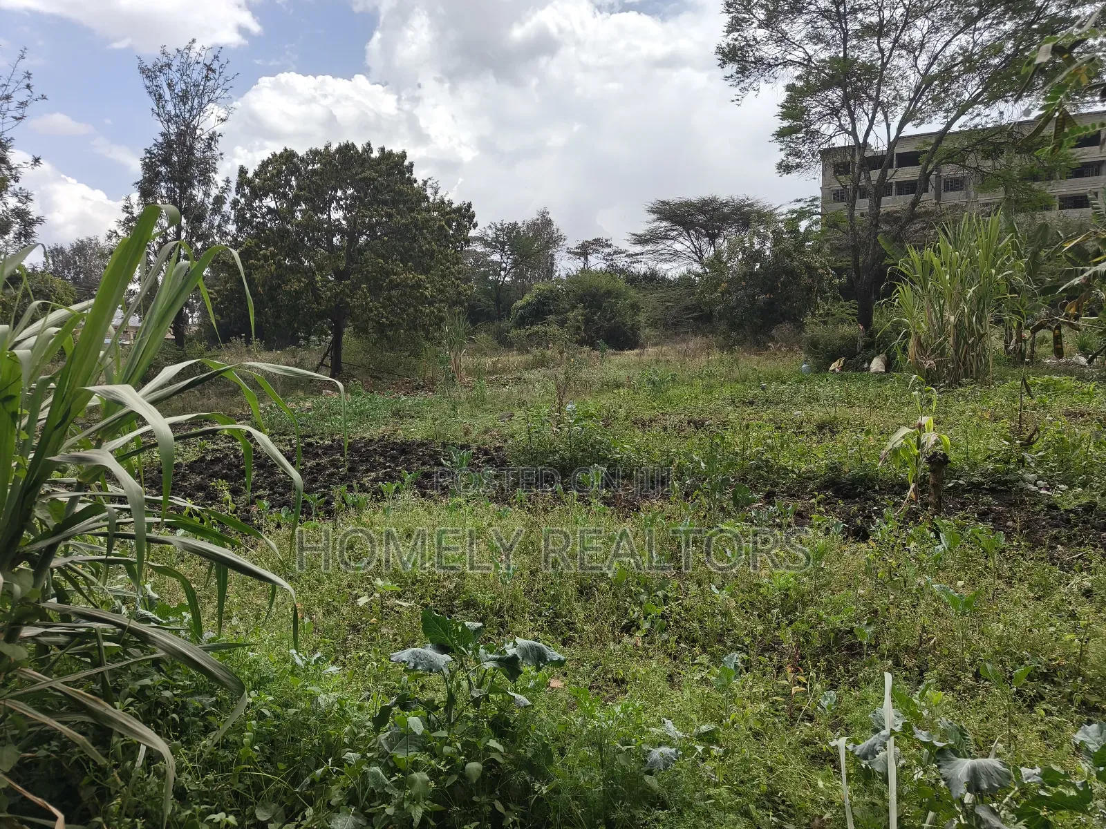 2 Acre Piece of Land on Sale in Ongata Rongai, Rimpa Touching Tarmac