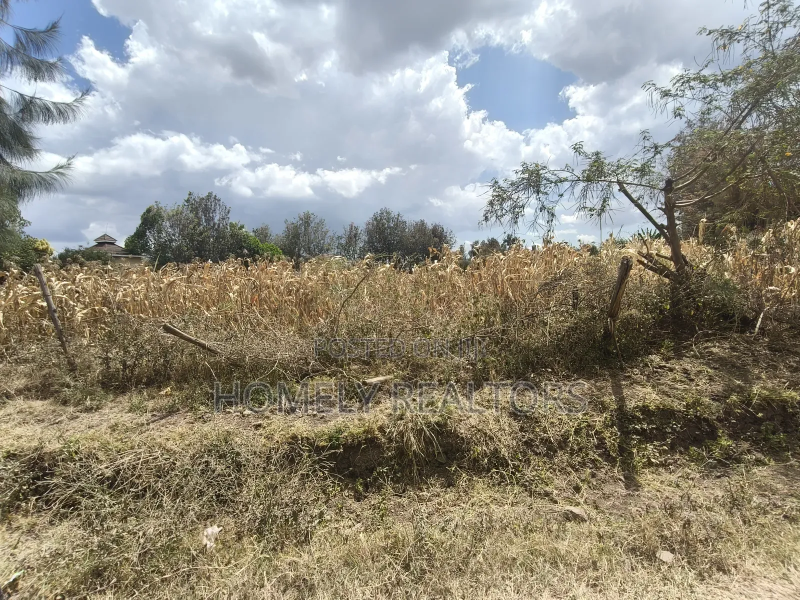 Residential One Acre Piece of Land in Ongata Rongai Near Asyana