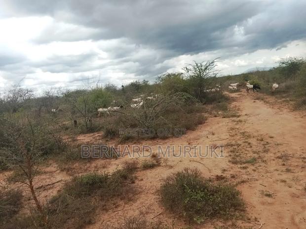 9no 50x100 Plots At Matuu - main view