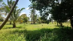 5 Acre Fertile Farm Mrima Not Far From Ramisi . Freehold