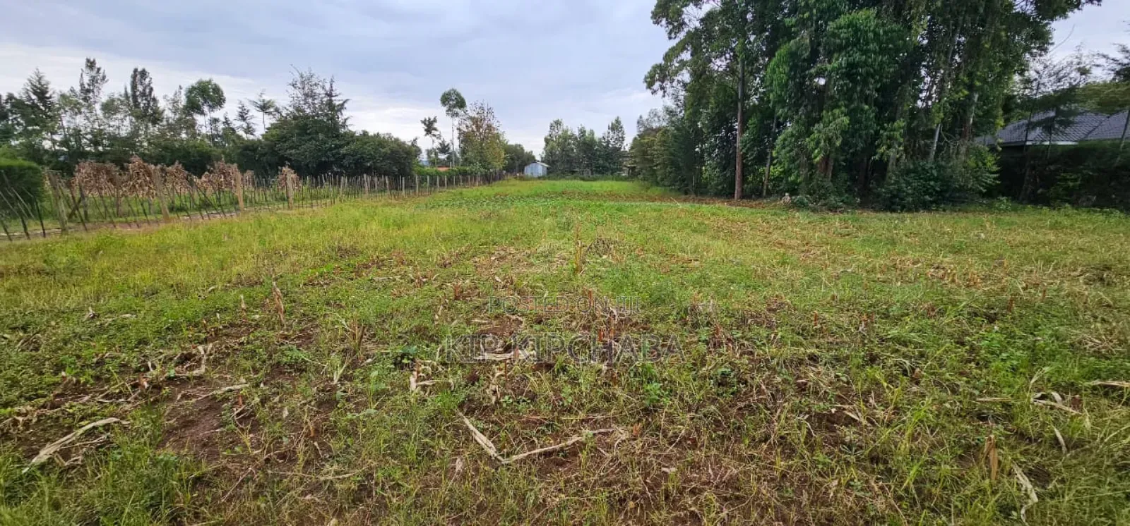 5 Plots for Sale in Kipkenyo Eldoret