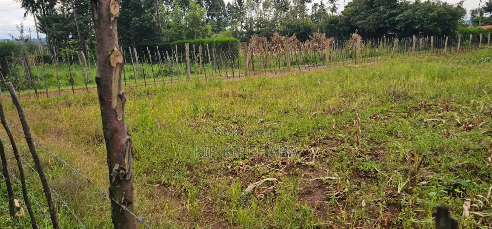 5 Plots for Sale in Kipkenyo Eldoret