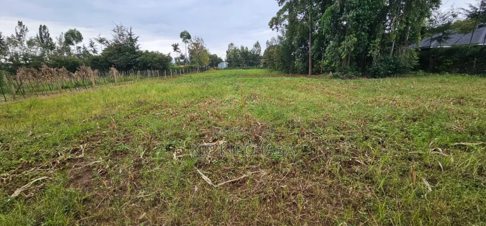5 Plots for Sale in Kipkenyo Eldoret