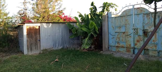 One Acre Plot With Three Bedroom Bungalow - thumbnail 6
