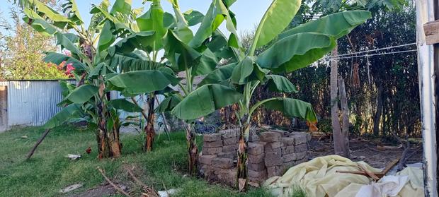 One Acre Plot With Three Bedroom Bungalow - thumbnail 7