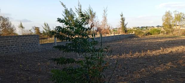 One Acre Plot With Three Bedroom Bungalow - thumbnail 11