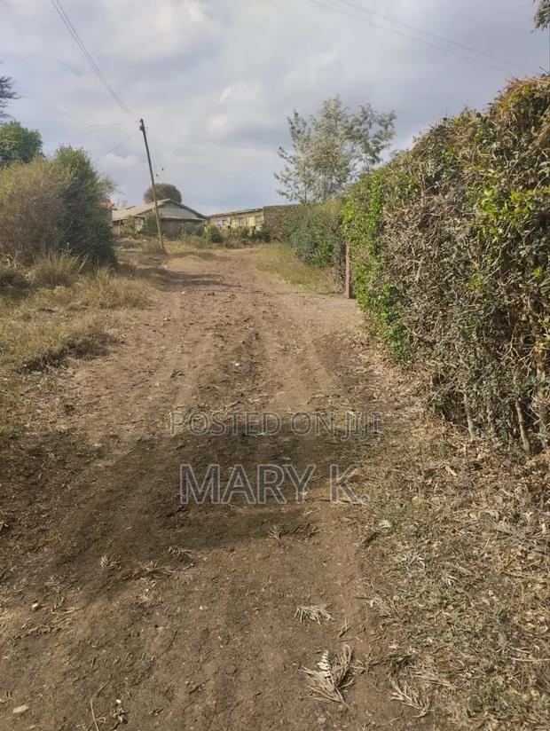 Eighth Acre Plots in Mweiga Town - main view