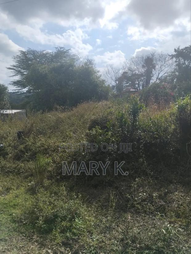 Eighth Acre Plots in Mweiga Town - thumbnail 2