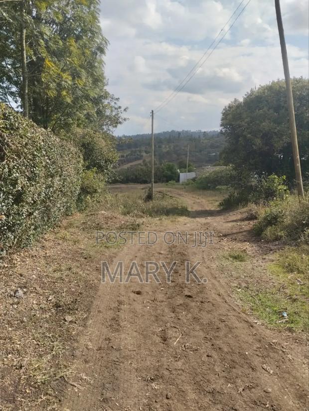 Eighth Acre Plots in Mweiga Town - thumbnail 3