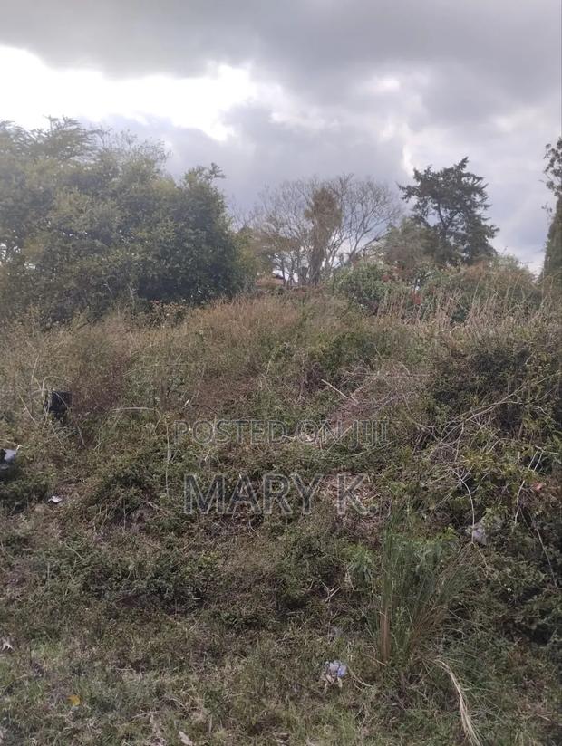 Eighth Acre Plots in Mweiga Town - thumbnail 4