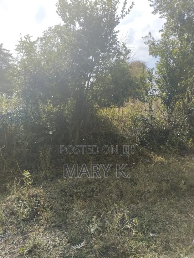 Eighth Acre Plots in Mweiga Town - thumbnail 5