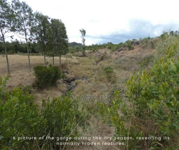 1.8 Acres Naromoru - main view