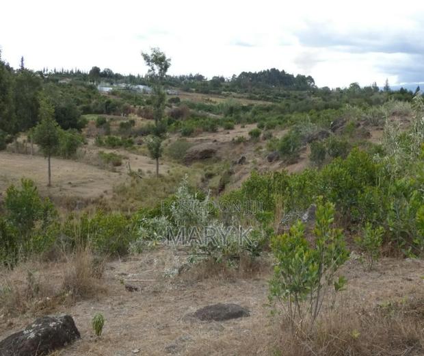 1.8 Acres Naromoru - thumbnail 2