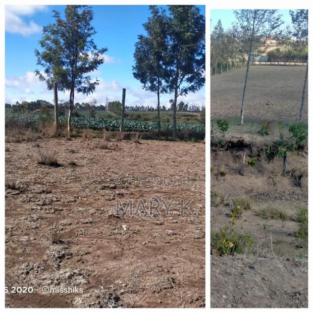 1.8 Acres Naromoru - thumbnail 3