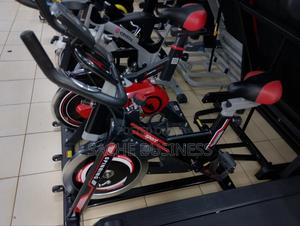 Domestic Spin Bike - thumbnail 2