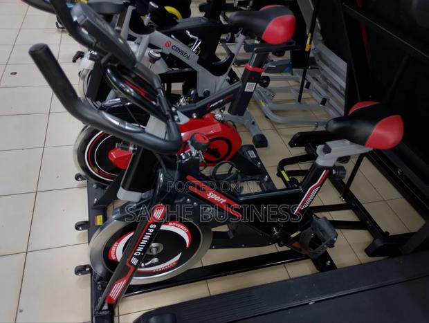 Domestic Spin Bike - main view