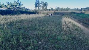 Plot For Sale Or Shamba - thumbnail 2