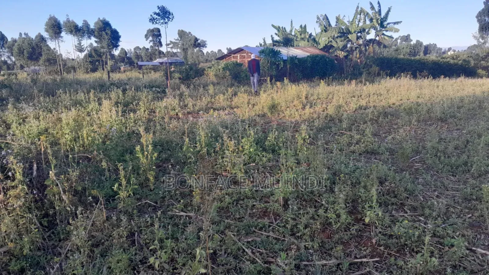 Plot For Sale Or Shamba