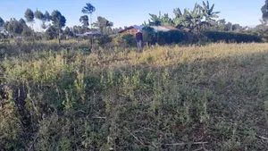Plot For Sale Or Shamba