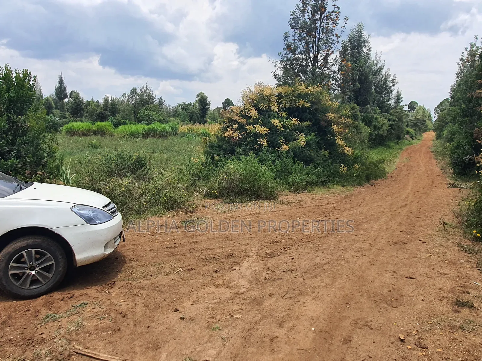 3/4 Acre in Katheri Nanyuki
