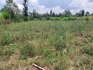 3/4 Acre in Katheri Nanyuki