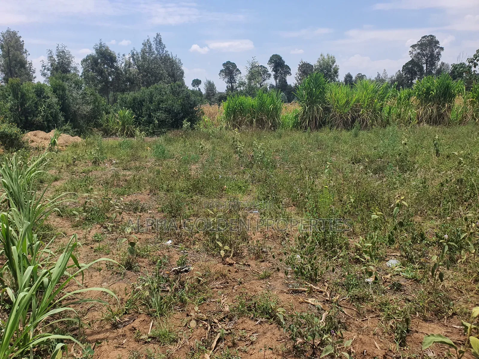 3/4 Acre in Katheri Nanyuki