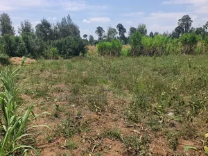 3/4 Acre in Katheri Nanyuki