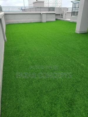 Turf Grass - main view