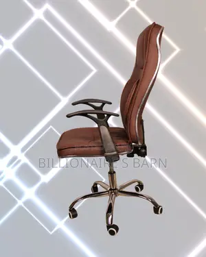 Ergonomic Executive Leather Chair (Quiet-Roll) — Hot Deal