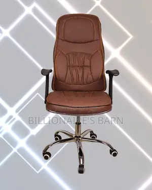 Ergonomic Executive Leather Chair (Quiet-Roll) — Hot Deal
