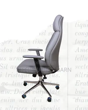 Grey Executive Leather Office Chair | Orthopedic Adjustable Height