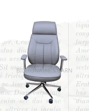 Grey Executive Leather Office Chair | Orthopedic Adjustable Height