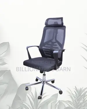 High Back Mesh Office Chair | Plush Nylon Castors