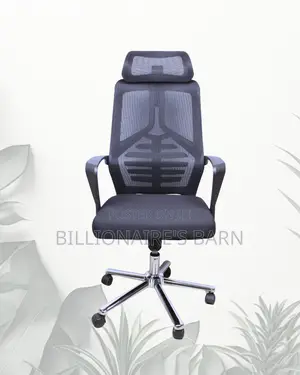 High Back Mesh Office Chair | Plush Nylon Castors