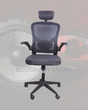 Adjustable Grey Ergonomic Office Chair | Lumbar Support