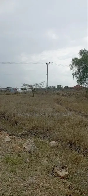 50×100 Plots for Sale in Katani.