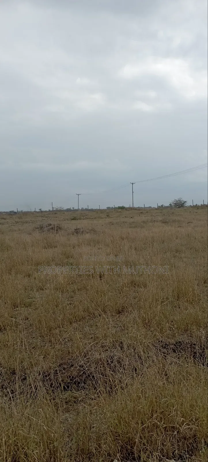 50×100 Plots for Sale in Katani.
