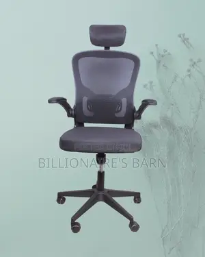 Grey Ergonomic Office Chair (Adjustable) — Offer Valid This Week
