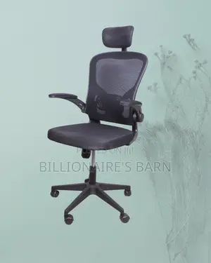 Grey Ergonomic Office Chair (Adjustable) — Offer Valid This Week