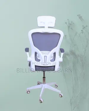 White Ergonomic Office Chair | Quiet-Roll Nylon Castors